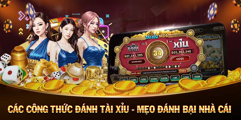 s666-Sống động và an toàn: Trang cược xanh chín! s666-Sống động và an toàn: Trang cược xanh chín!
